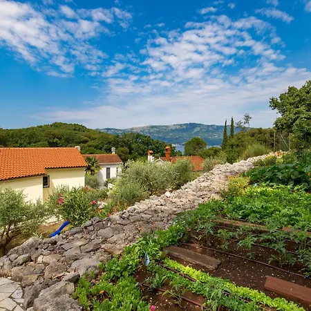 Pet Friendly In * Porozina