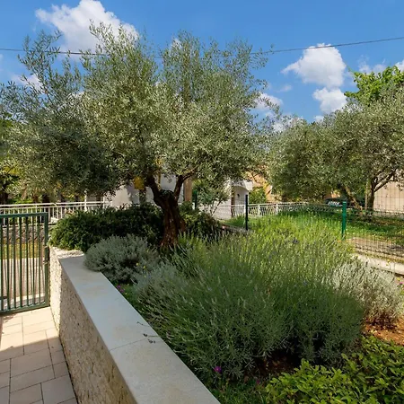 Pet Friendly In