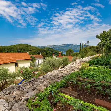 Pet Friendly In With Kitchen * Porozina
